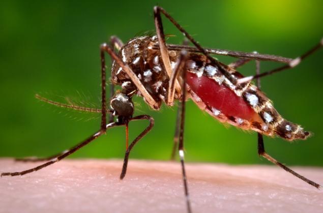 Zika Virus: CDC Travel Guidance and Resources