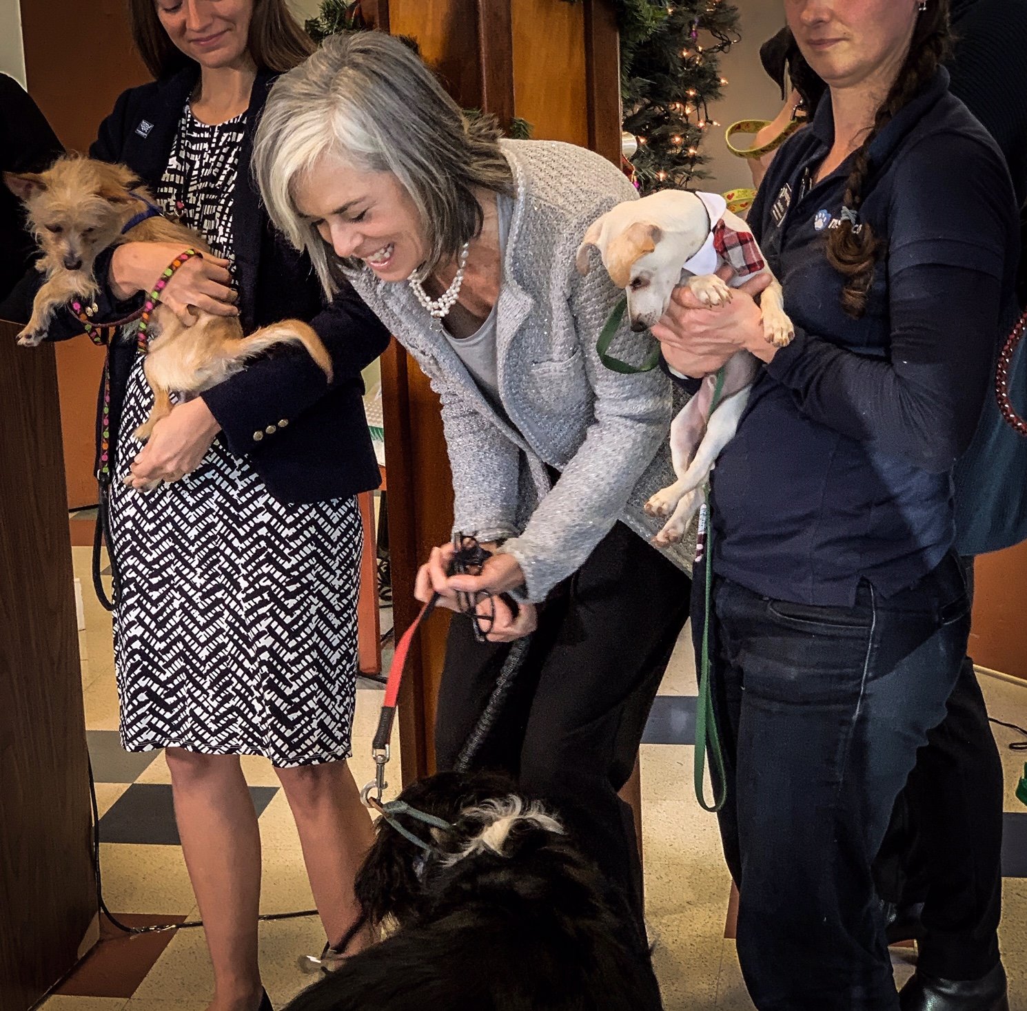 Cambridge Chronicle & Tab: Rep. Katherine Clark celebrates passage of PAWS act with animal, domestic abuse survivors